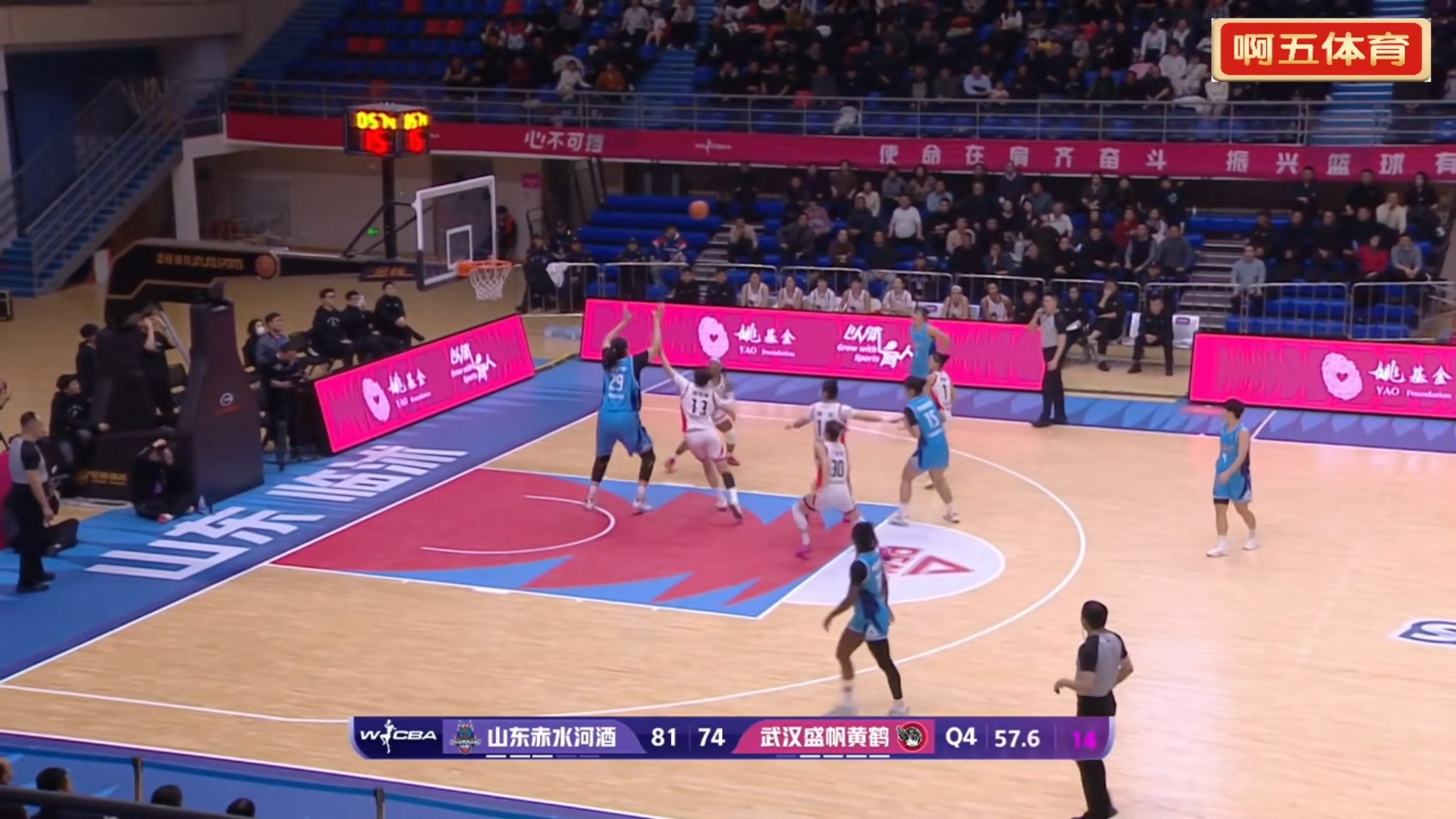 包含刚刚！山东男篮门线救险备战意大利杯纽约尼克斯赛后篮板制胜，赛前尼斯豪取连胜的词条